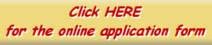 online application